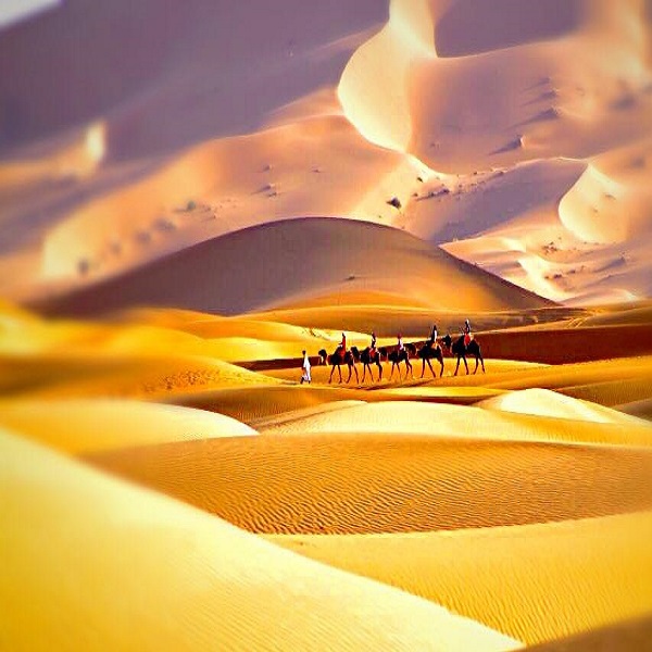 Morocco Desert