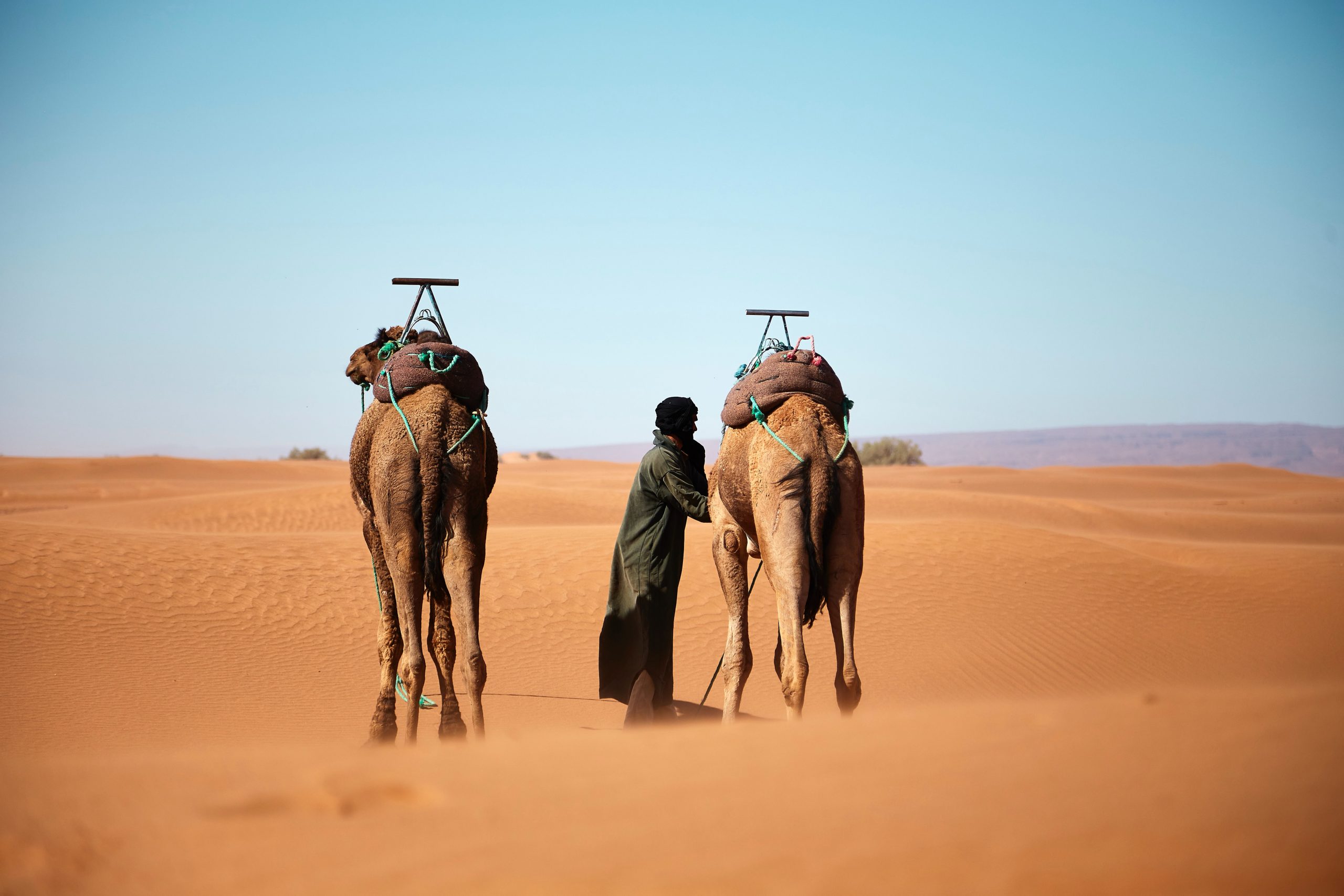 Morocco Desert