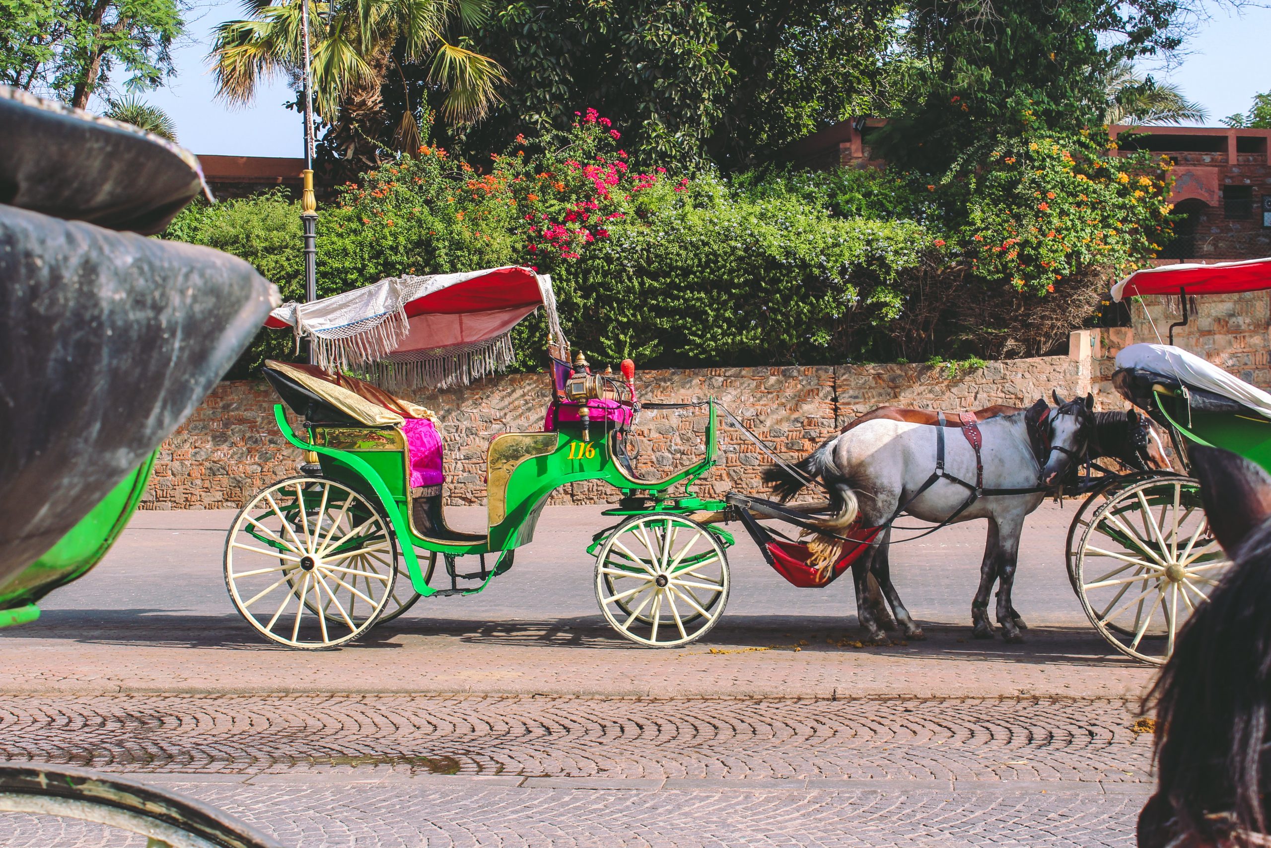 Moroccan carriage