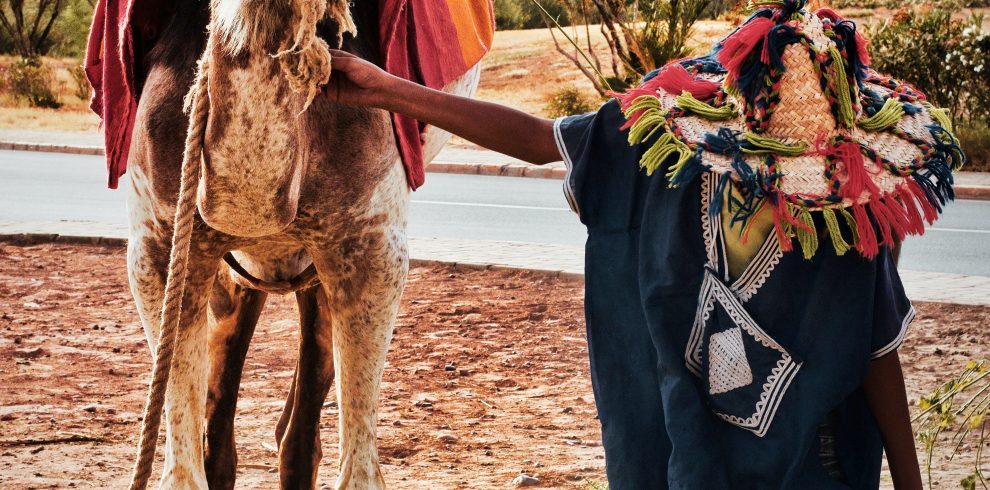 man holding camel