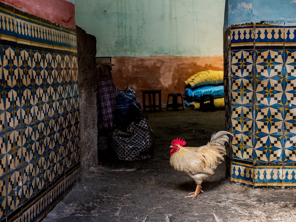 Moroccan chicken