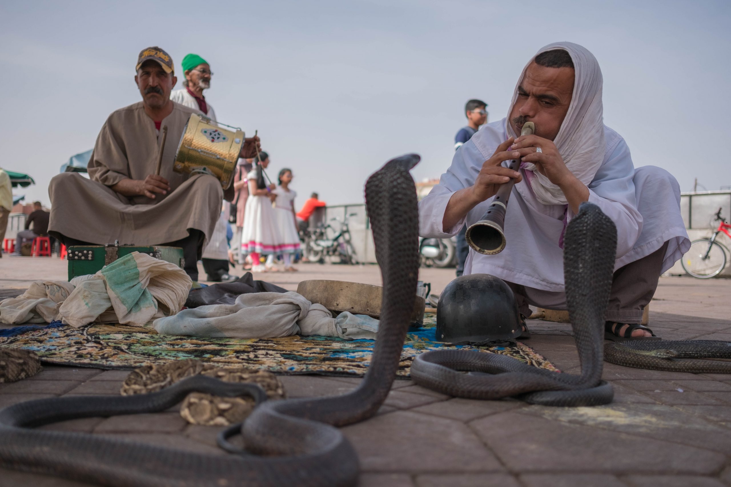 Marrakech Jamaa Elfna