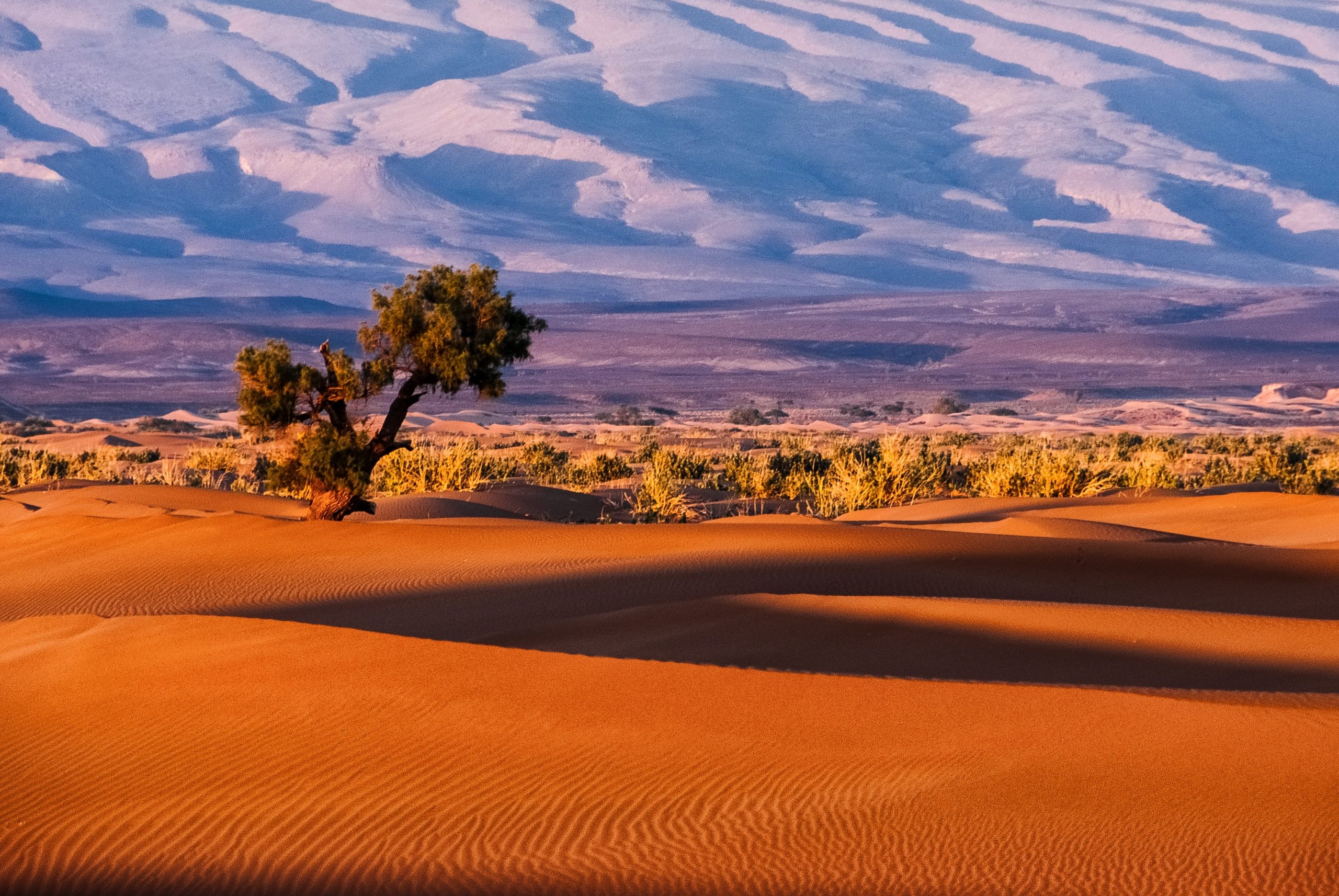 Morocco Desert