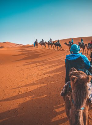 Morocco Desert