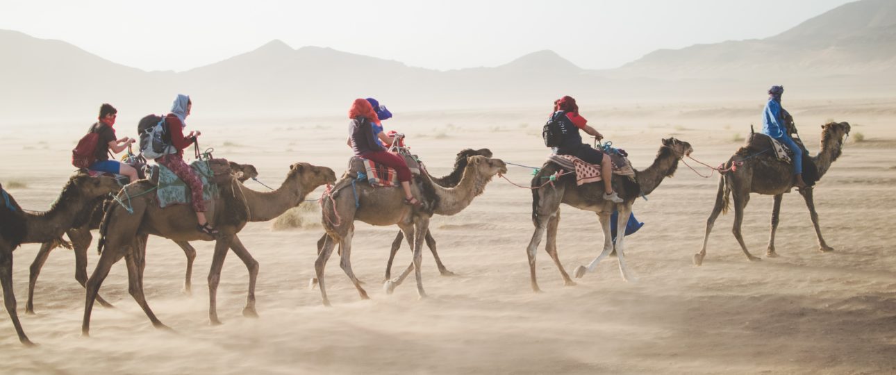 Camel guide Sahara