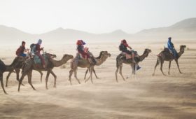 Camel guide Sahara