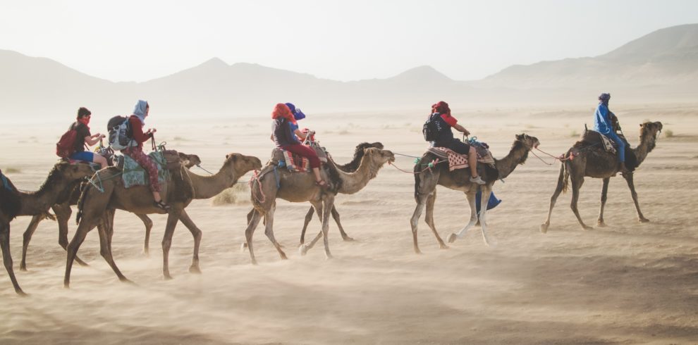 Camel guide Sahara