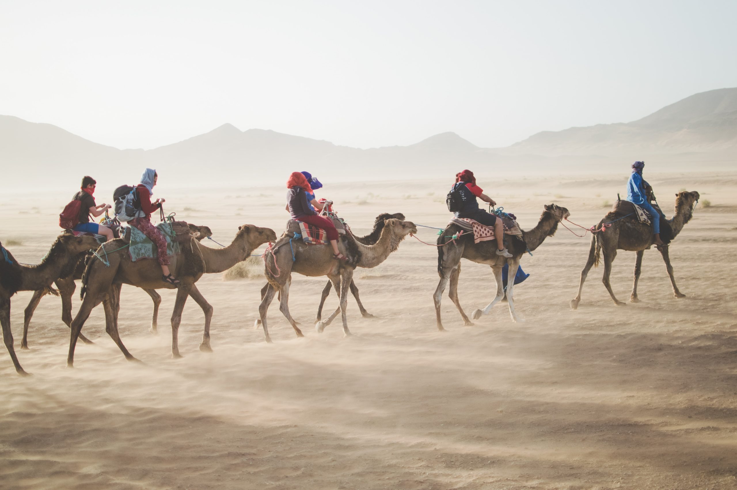 Camel guide Sahara